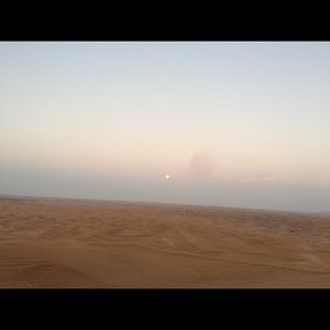 Meet your Posher, Ikran